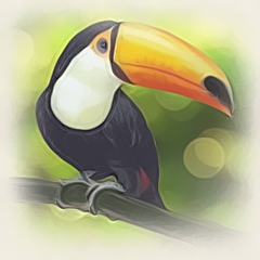 The Maltese Toucan