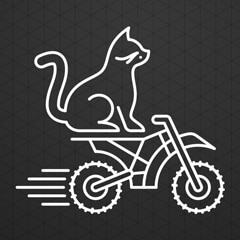 Motocross between Gatos